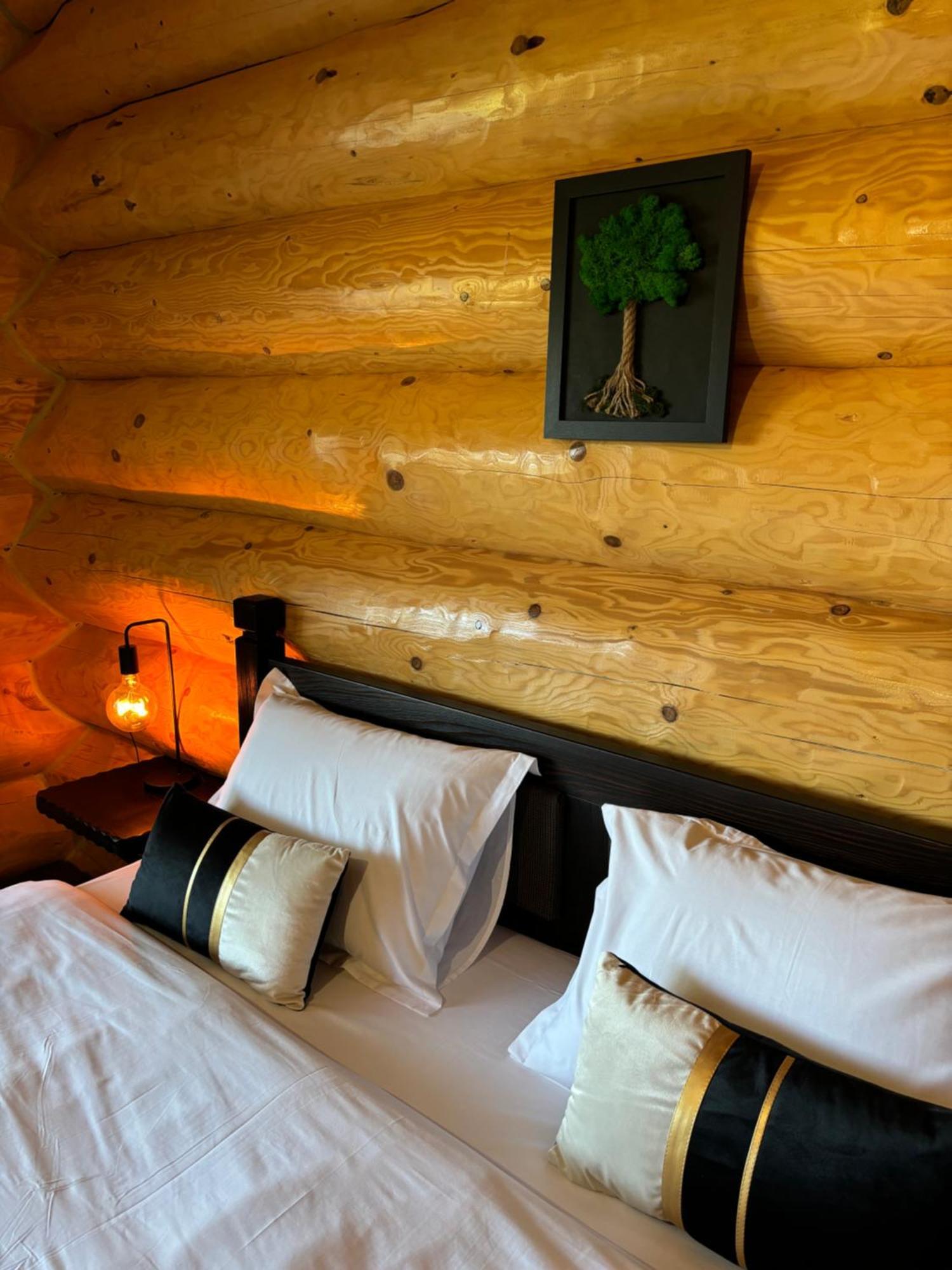 Hotel Bucovina Exclusiv à Vama  Extérieur photo