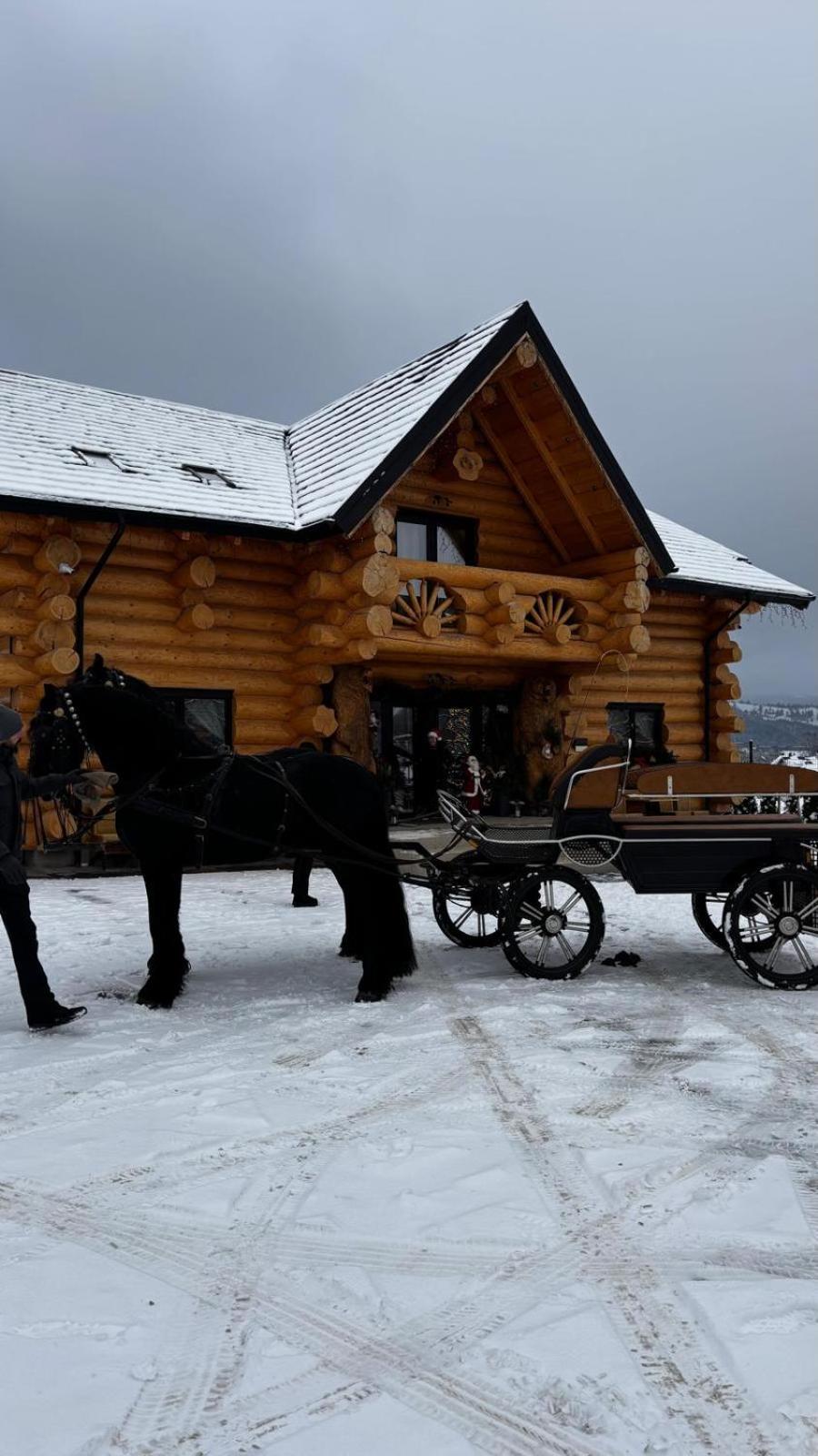 Hotel Bucovina Exclusiv à Vama  Extérieur photo